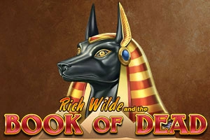16365 book of dead