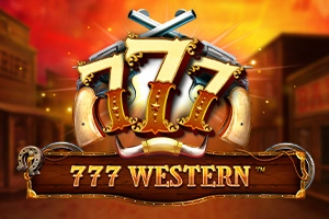 20113 777 western