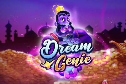21389 dream genie